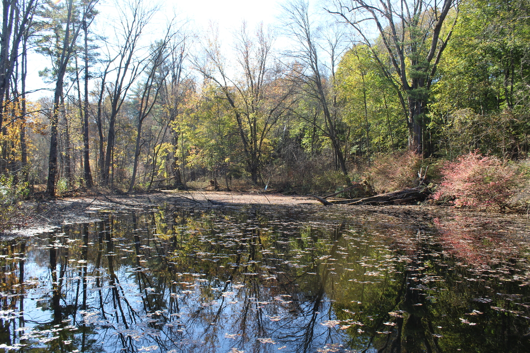 Petoskey and Pine – Aromatherapy products inspired by the state of Michigan